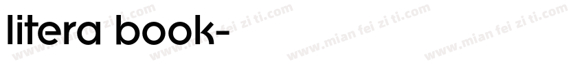 litera book字体转换